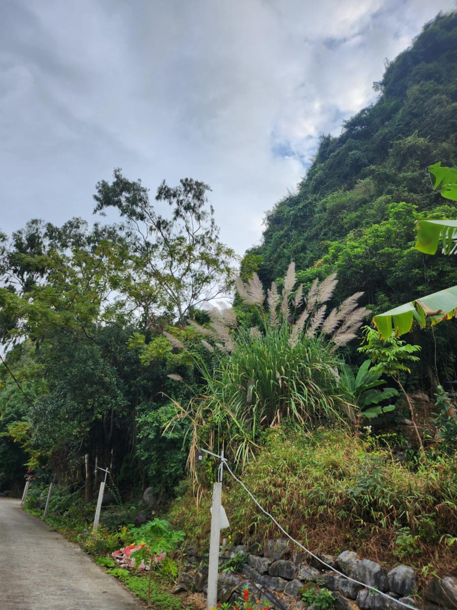 2Stones Cat Ba Homestay Chan Chau Екстериор снимка